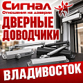 Дверные доводчики Дверные доводчики